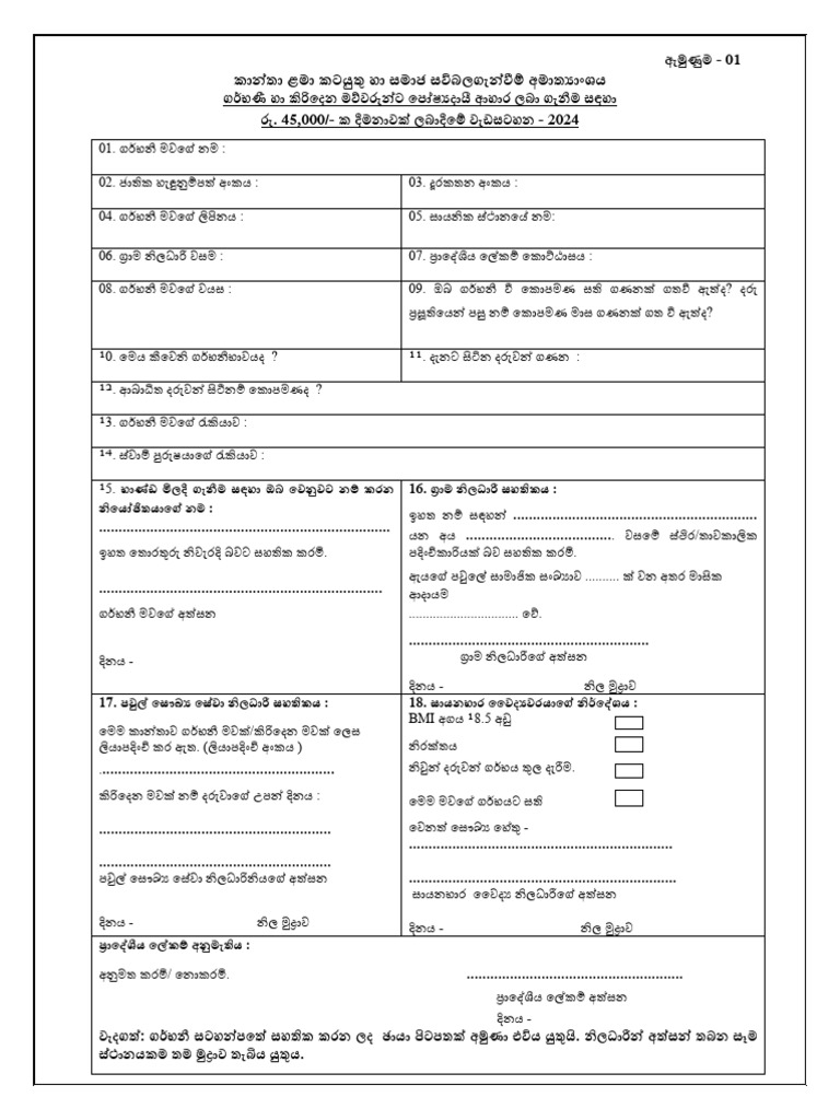 Application Pregnant Mothers | PDF