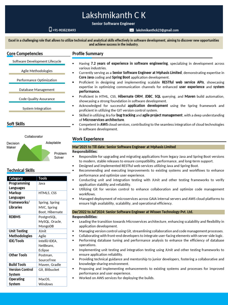 Senior Software Engineer Profile Summary | PDF | Software Development ...