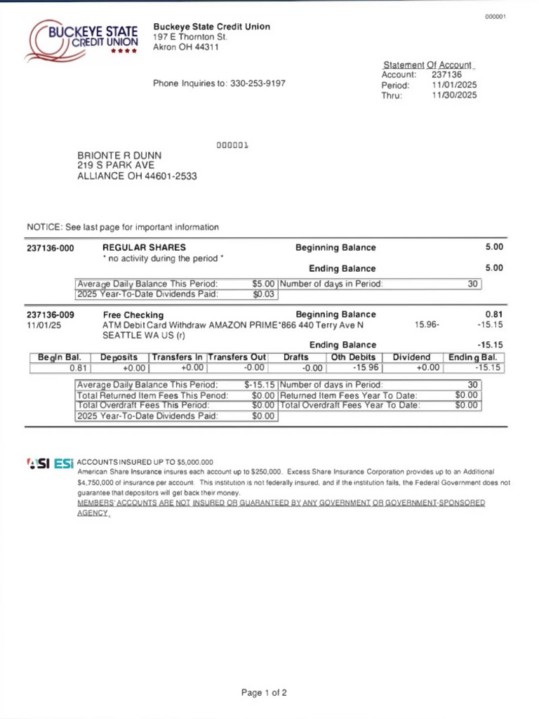 Buckeye State Credit Union Account Statement | PDF | Overdraft ...
