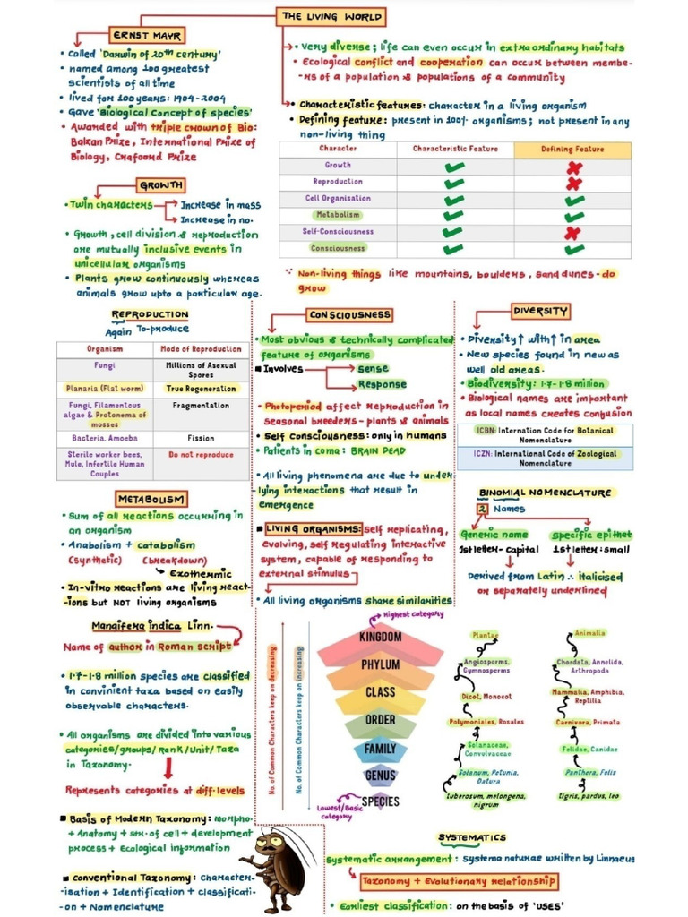 Bio Class 11 | PDF