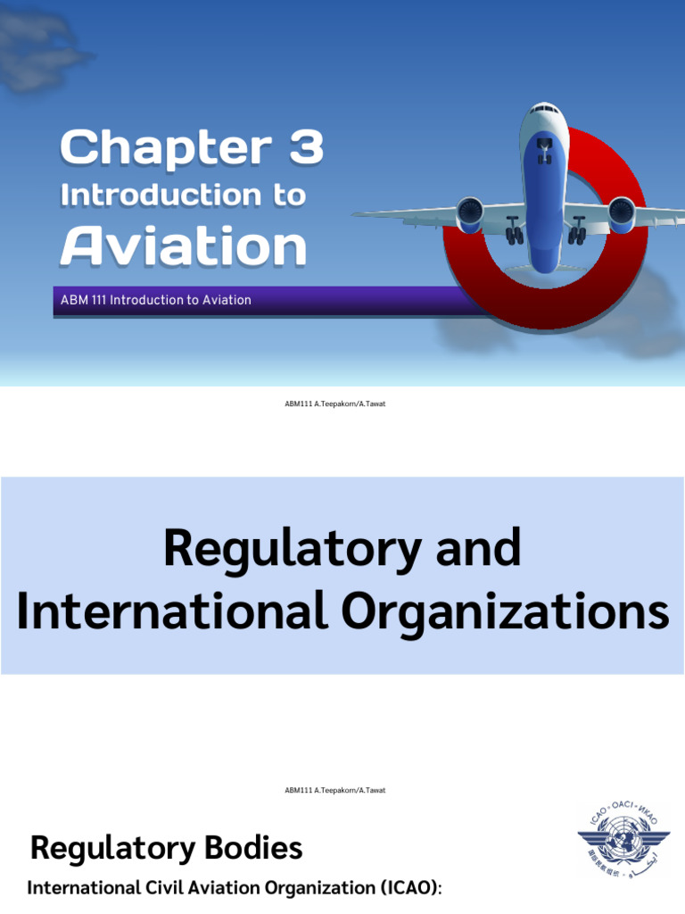 Overview of Aviation Regulatory Bodies | PDF | Aviation | Transport