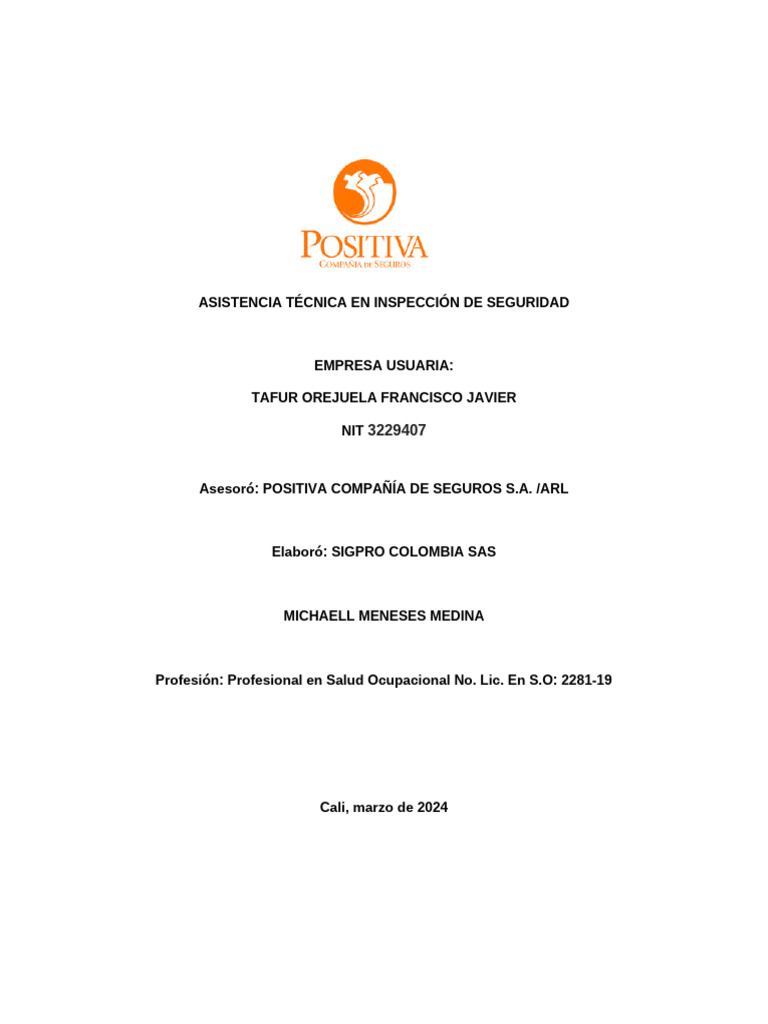Informe Eficol Gatos Hidraulicos | PDF | Seguridad y salud ocupacional ...