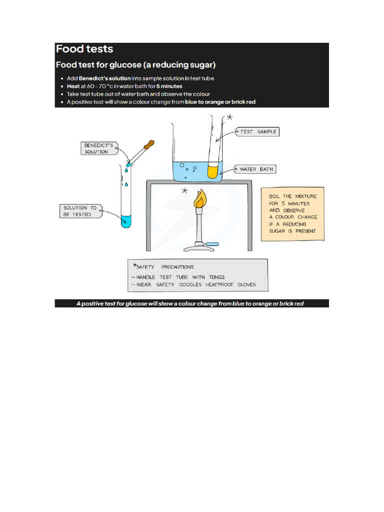 Food Tests | PDF