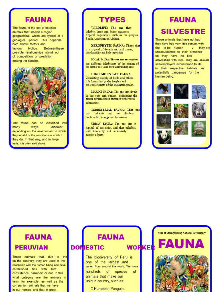 Triptych of Peruvian Fauna | PDF | Habitat | Marine Biology