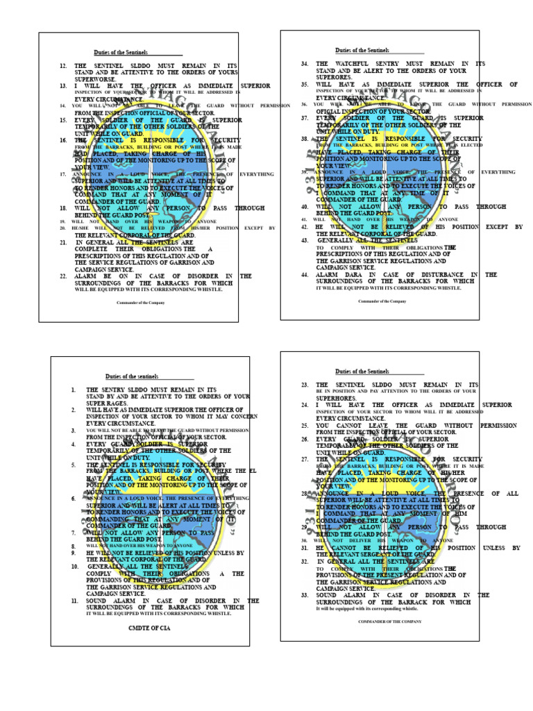 Sentinel Duties Format | PDF | Chess Theory | Chess