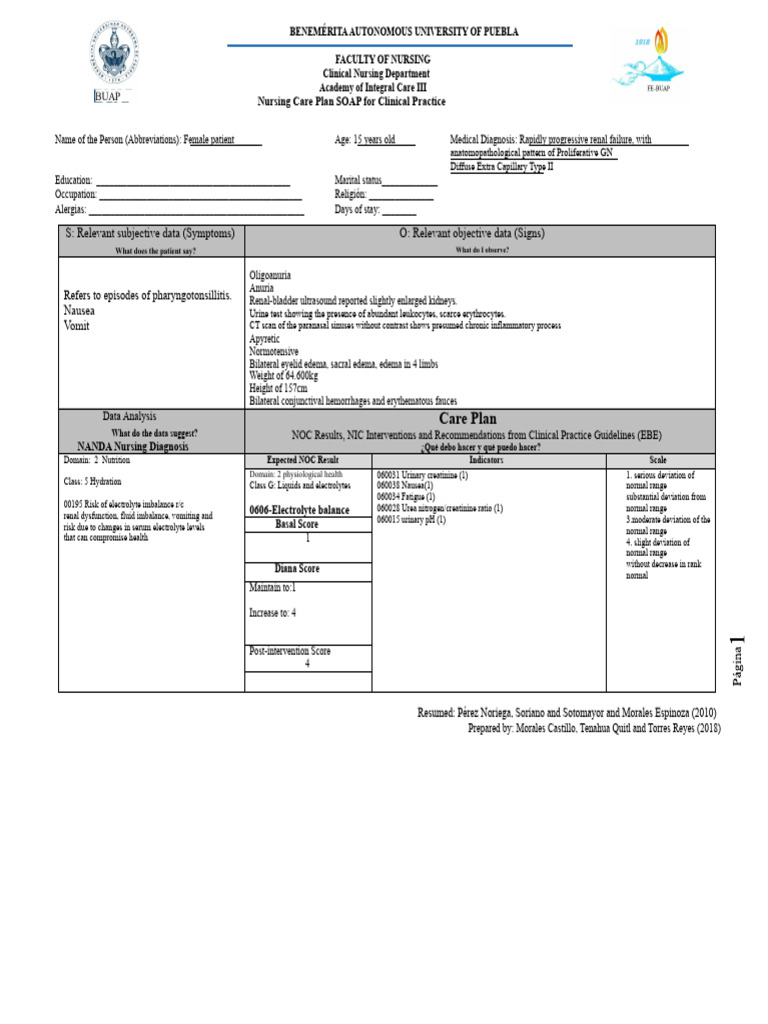Nursing Care Plan for Renal Failure | PDF | Chronic Kidney Disease | Kidney