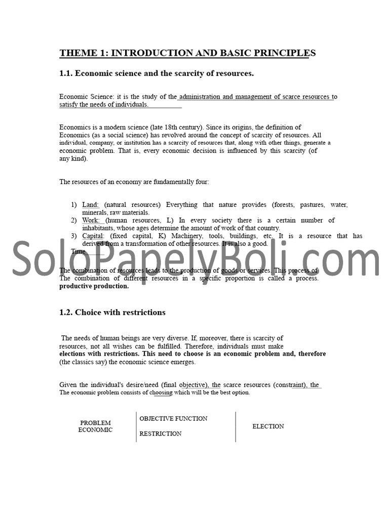 Introduction to Economic Principles | PDF | Demand | Elasticity (Economics)