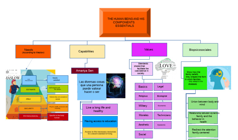 The Human Being and Its Essential Components | PDF | Psychology ...