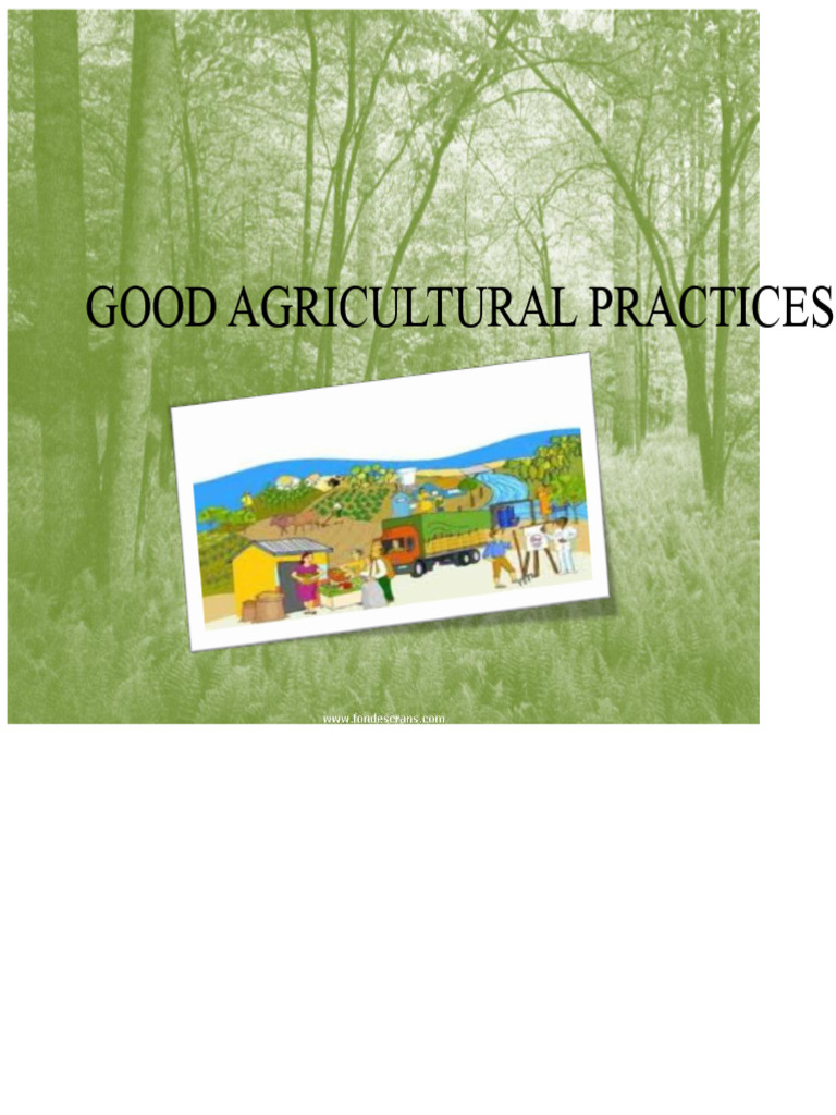 Good Agricultural Practices Guide | PDF | Agriculture | Harvest
