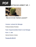kaktus myrtillocactus geometrizans Myrtillocactus geometrizans Fukurokuryuzinboku boobie cactus