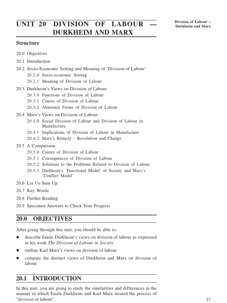 Division of Labour Durkheim and Marx | PDF | Division Of Labour | Émile ...