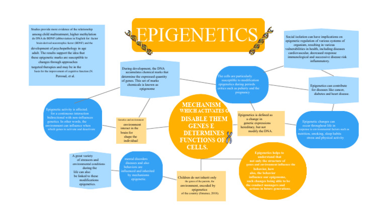 Epigenetics: Impact on Child Development | PDF | Epigenetics | Gene