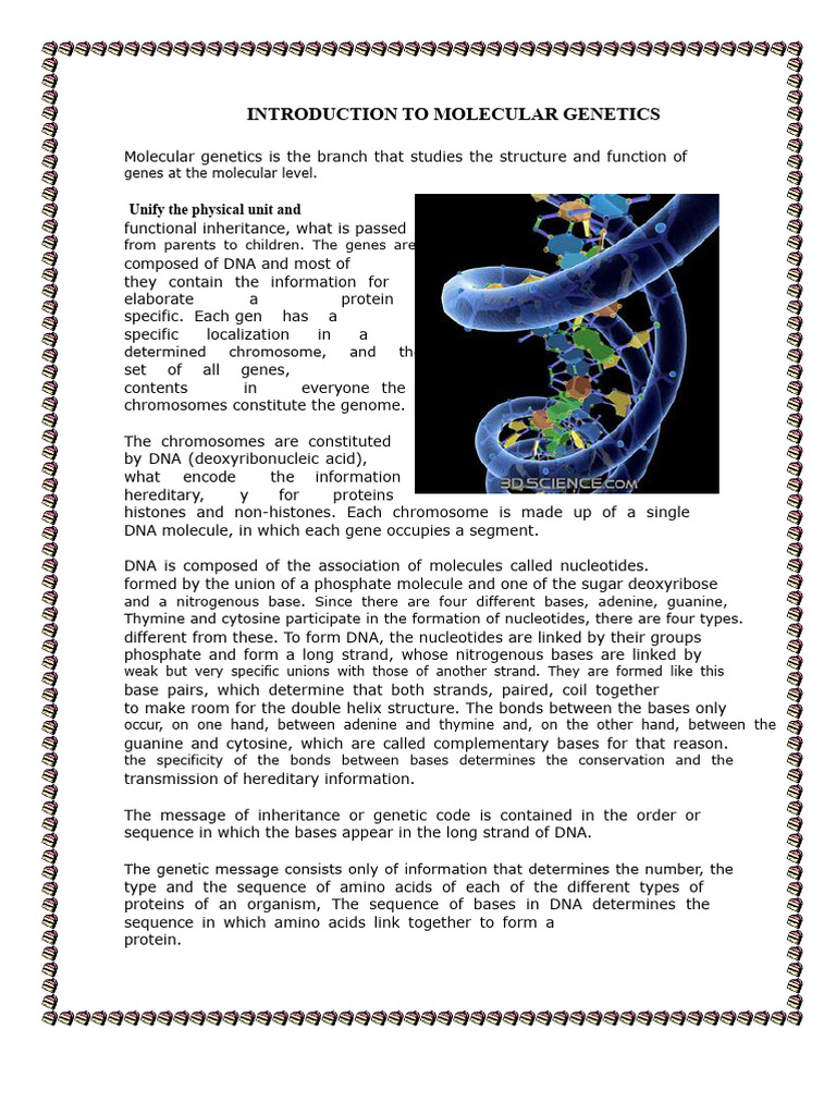 Introduction to Molecular Genetics | PDF | Nucleic Acid Sequence | Dna