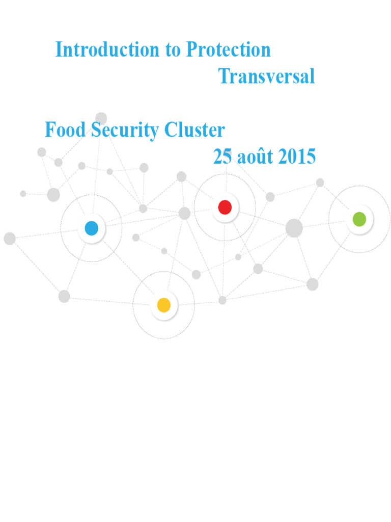 Cross-Cutting Protection in Humanitarian Action | PDF | Violence ...