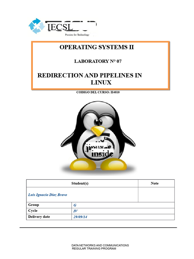 Linux Redirection and Pipelines Lab | PDF | Text File | Software