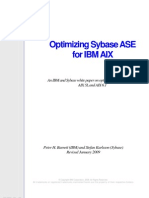 Optimizing Sybase ASE For IBM AIX 030309 WP