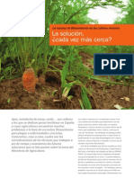 Revista AgroQuimica-La escasez de fitosanitarios en los cultivos menores La solución, ¿cada vez más cerca?