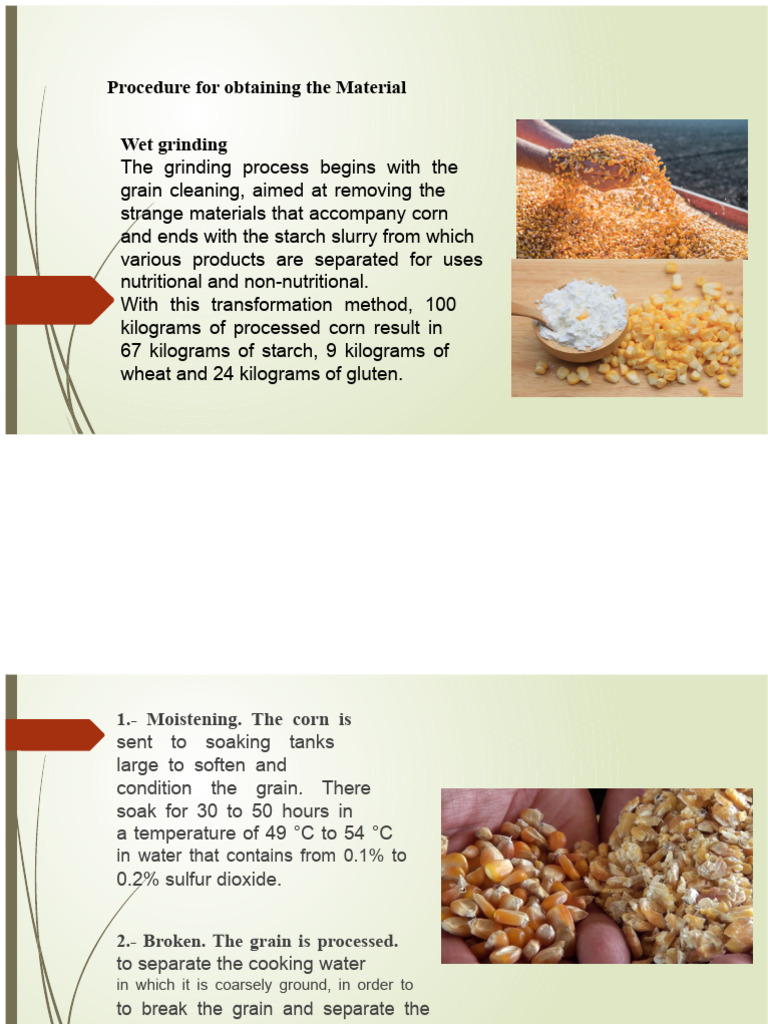 Corn Starch Production Process Guide | PDF | Tablet (Pharmacy) | Starch