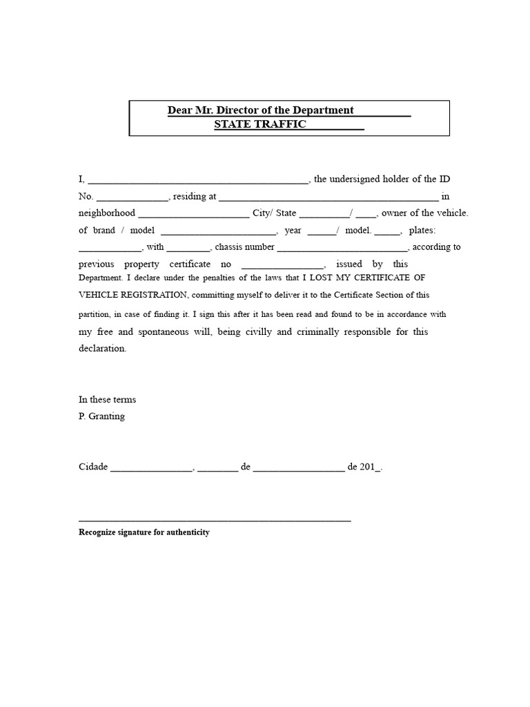 Lost Vehicle Registration Declaration Form | PDF