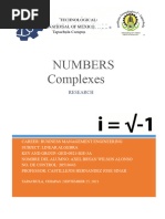 Understanding Iota in Mathematics | PDF | Numbers | Complex Number