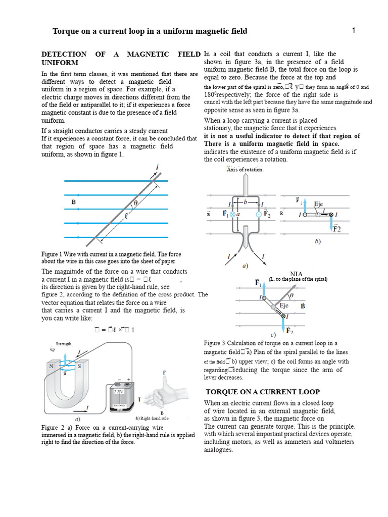 Torque on Current Loop in Magnetic Field | PDF | Magnetic Field | Torque