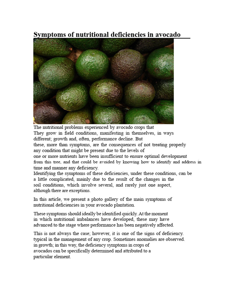 Symptoms of Nutritional Deficiencies in Avocado | PDF | Plant Nutrition ...