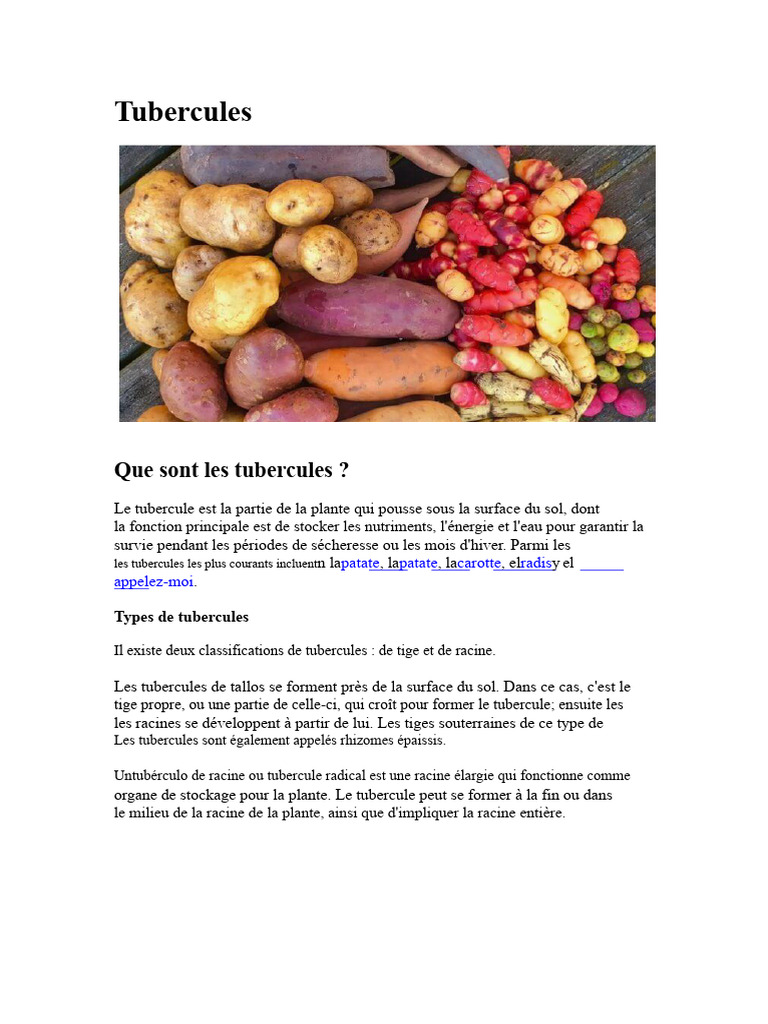 Comprendre les tubercules : types et bienfaits | PDF | Racine | Pomme ...