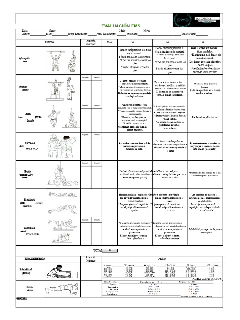 Evaluación FMS: Análisis de Movilidad y Estabilidad | PDF | Anatomía ...