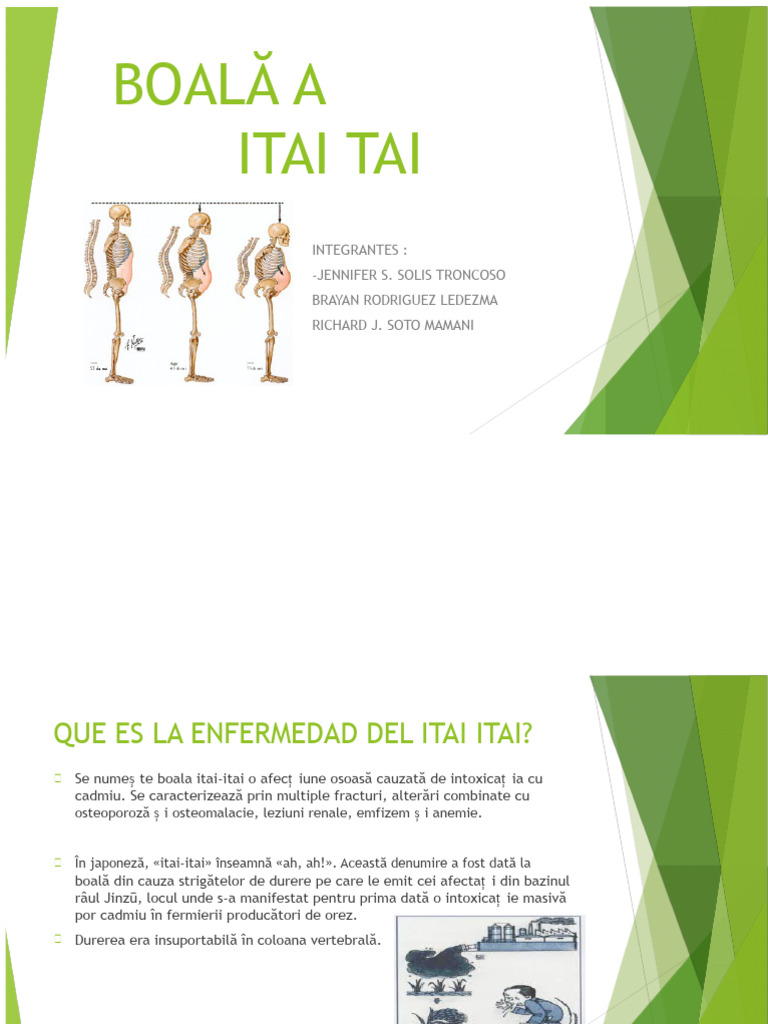 Boala Itai Itai | PDF