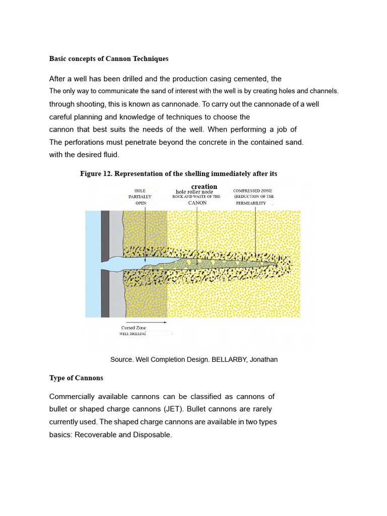 Cannon Techniques for Well Perforation | PDF | Cannon | Gun