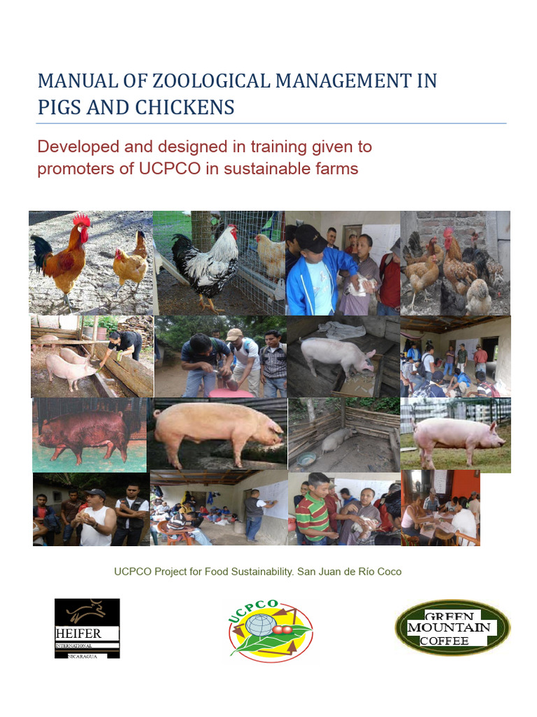 Manual of Zootecnical Management in Pigs and Chickens | PDF | Pig ...