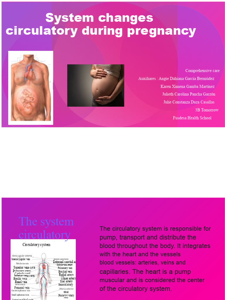 Changes in The Circulatory System During Pregnancy | PDF | Blood ...