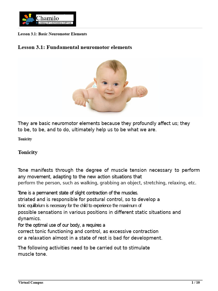 Neuromotor Development Exercises Guide | PDF | Anatomical Terms Of ...