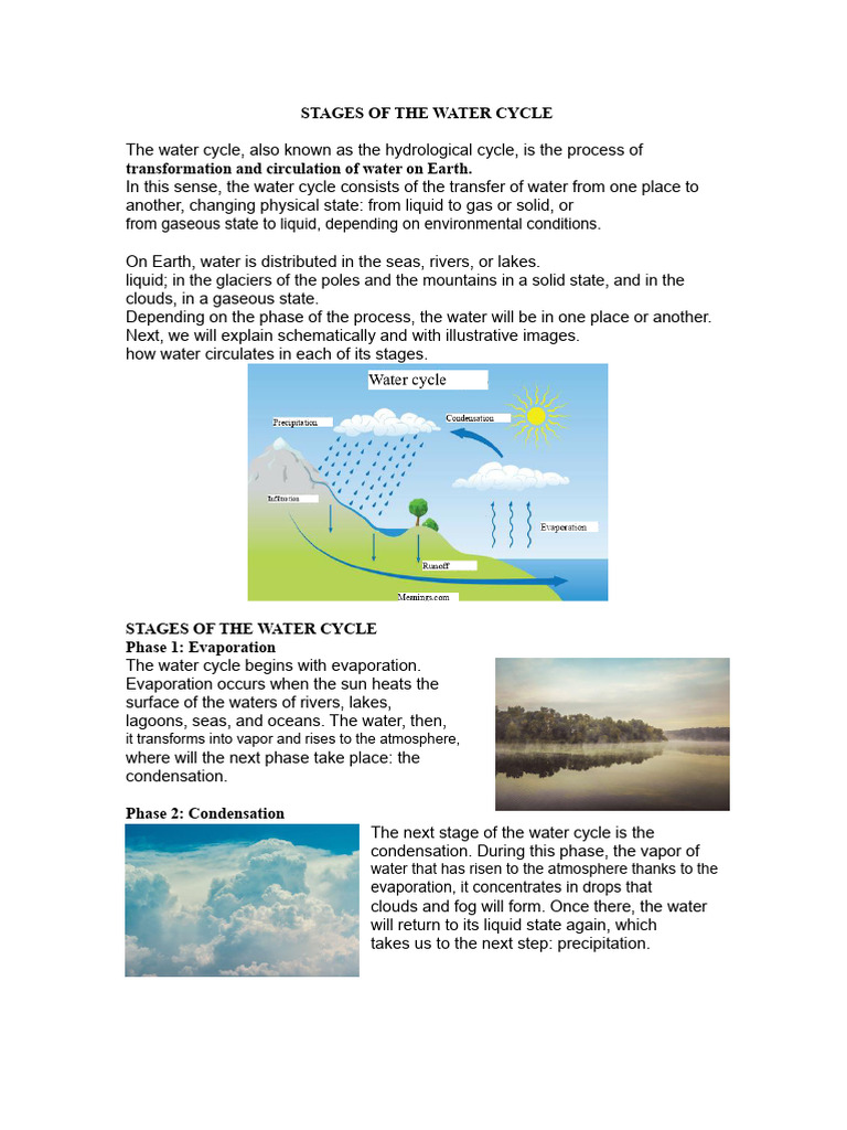 Phases of the Water Cycle | PDF | Water Cycle | Water
