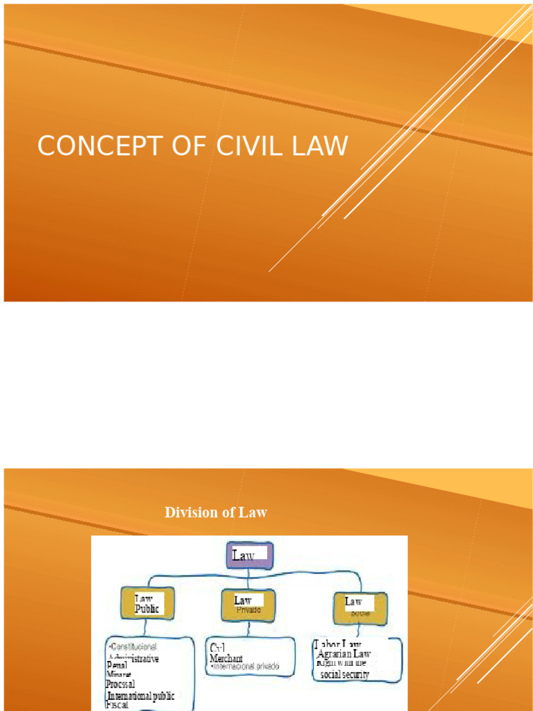 Concept of Civil Law | PDF | Family | Property
