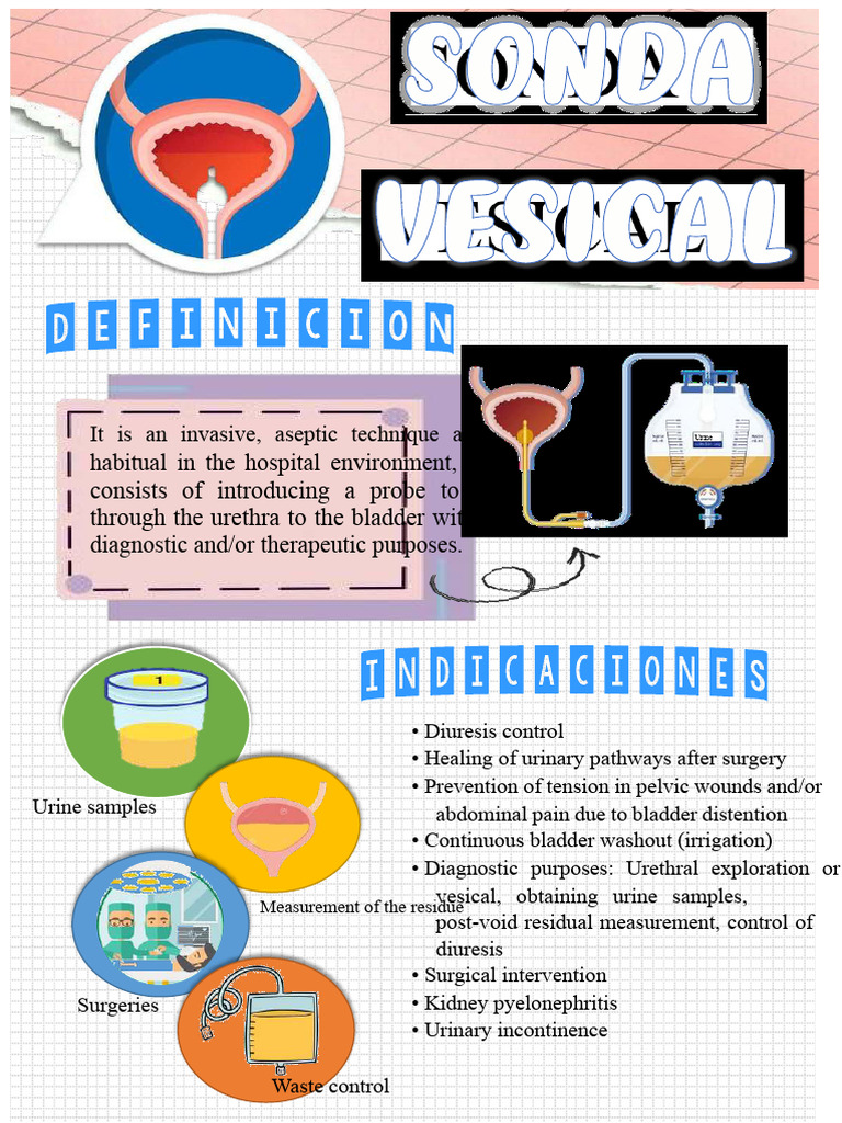 Bladder Probe 95836 Downloadable 933897 - Removed | PDF | Urinary ...