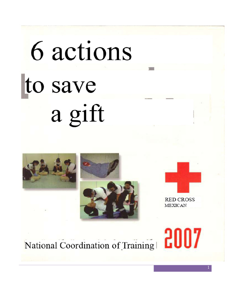 First Aid Training Manual Overview | PDF | Cardiopulmonary ...