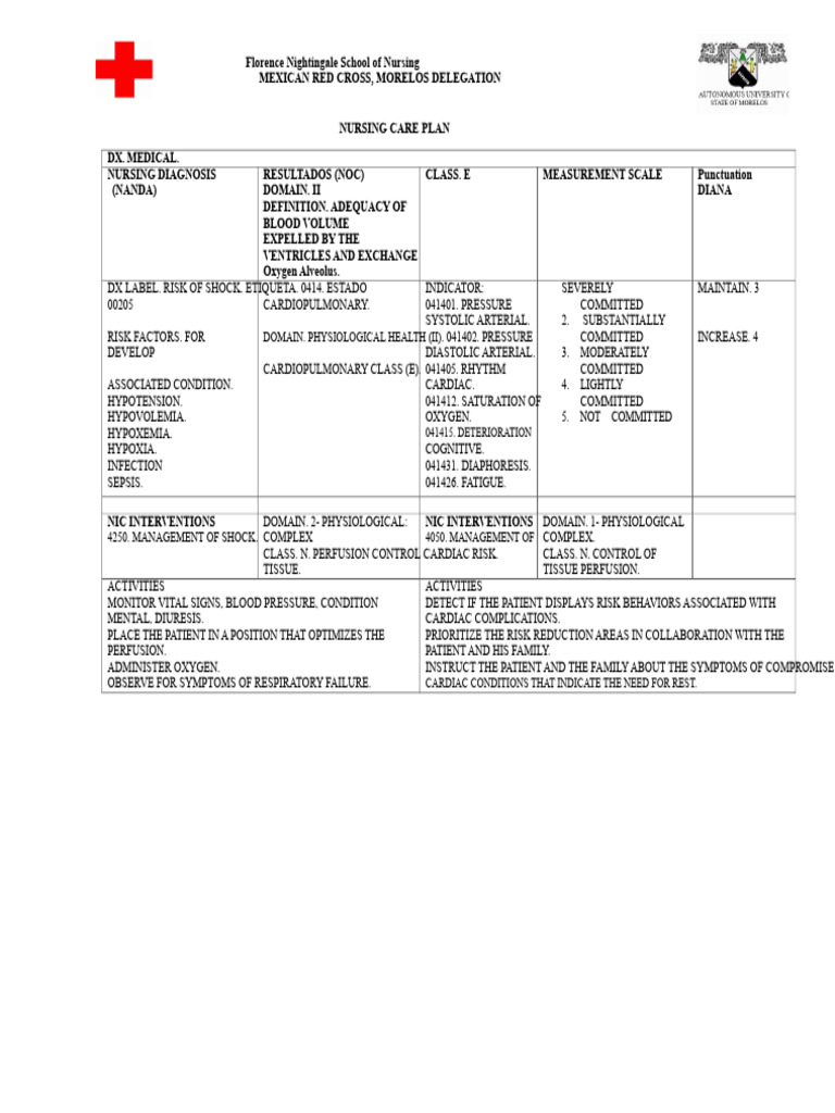 NURSING CARE PLAN | PDF | Blood Pressure | Shock (Circulatory)