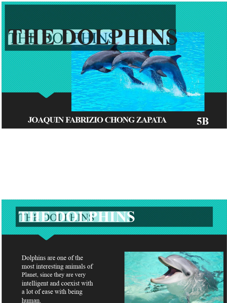 Fascinating Facts About Dolphins | PDF | Dolphin | Zoology