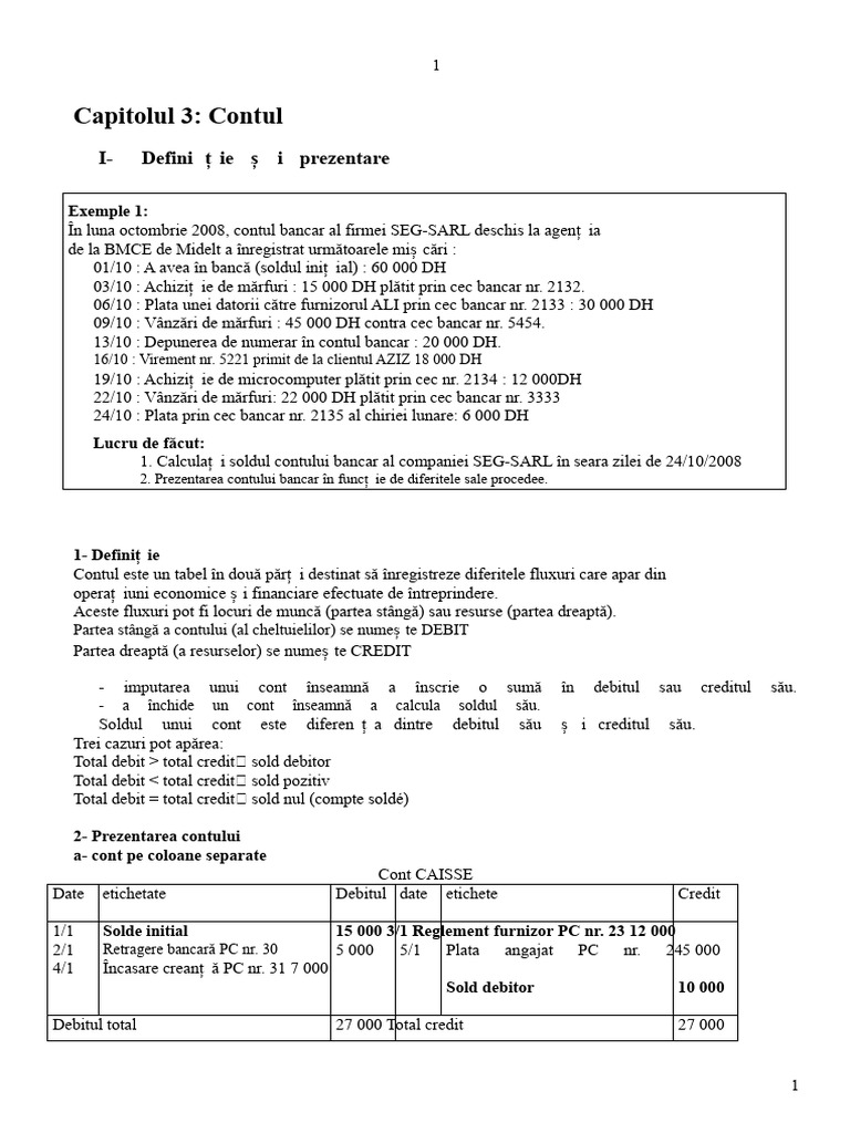 Capitolul 3 - Contul | PDF
