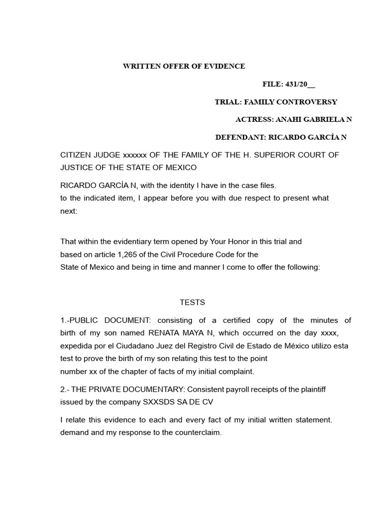 Family Court Evidence Submission Document | PDF | Lawsuit | Common Law