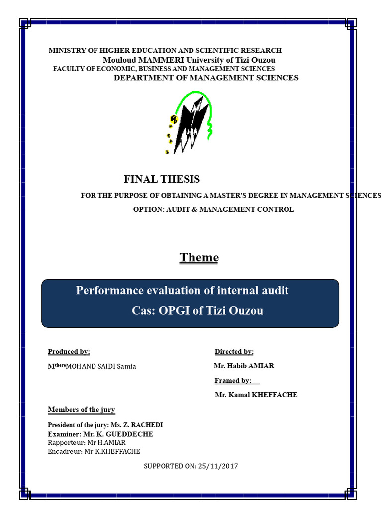 Internal Audit Performance Evaluation | PDF | Internal Audit | Audit