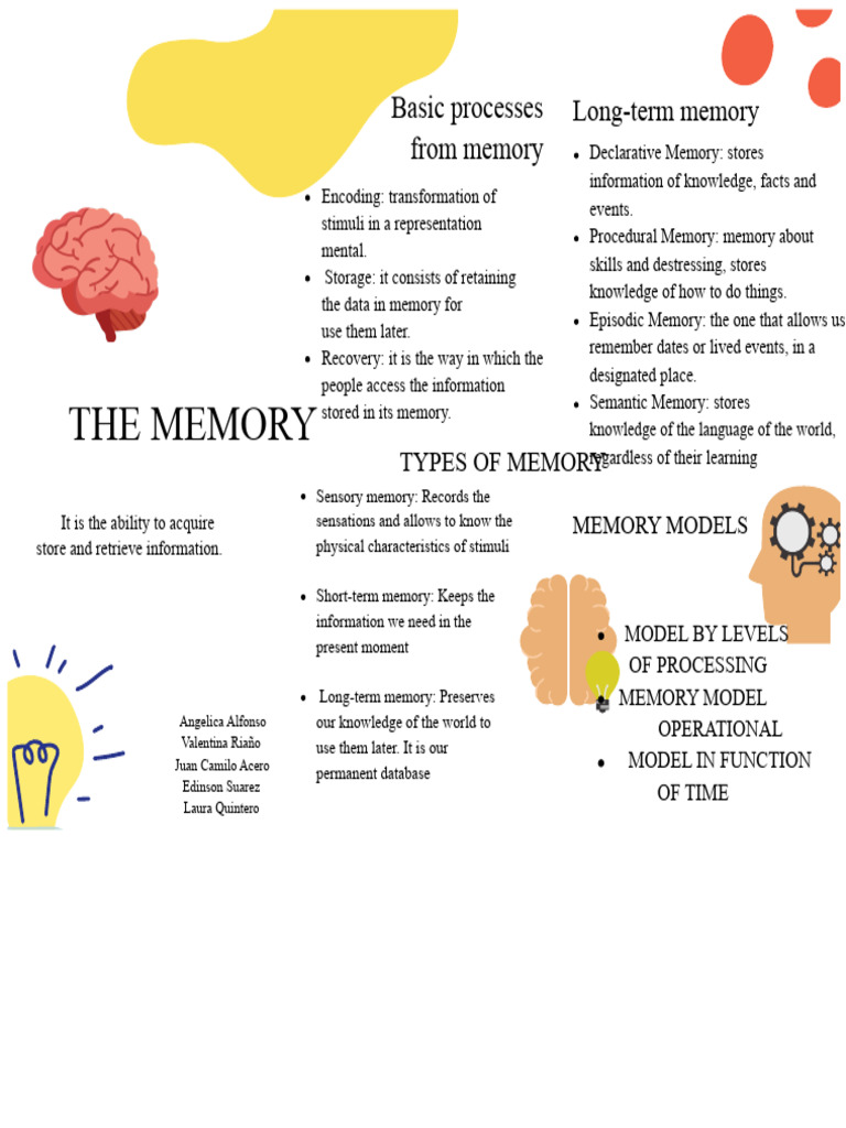 Understanding Types and Processes of Memory | PDF | Memory | Long Term ...