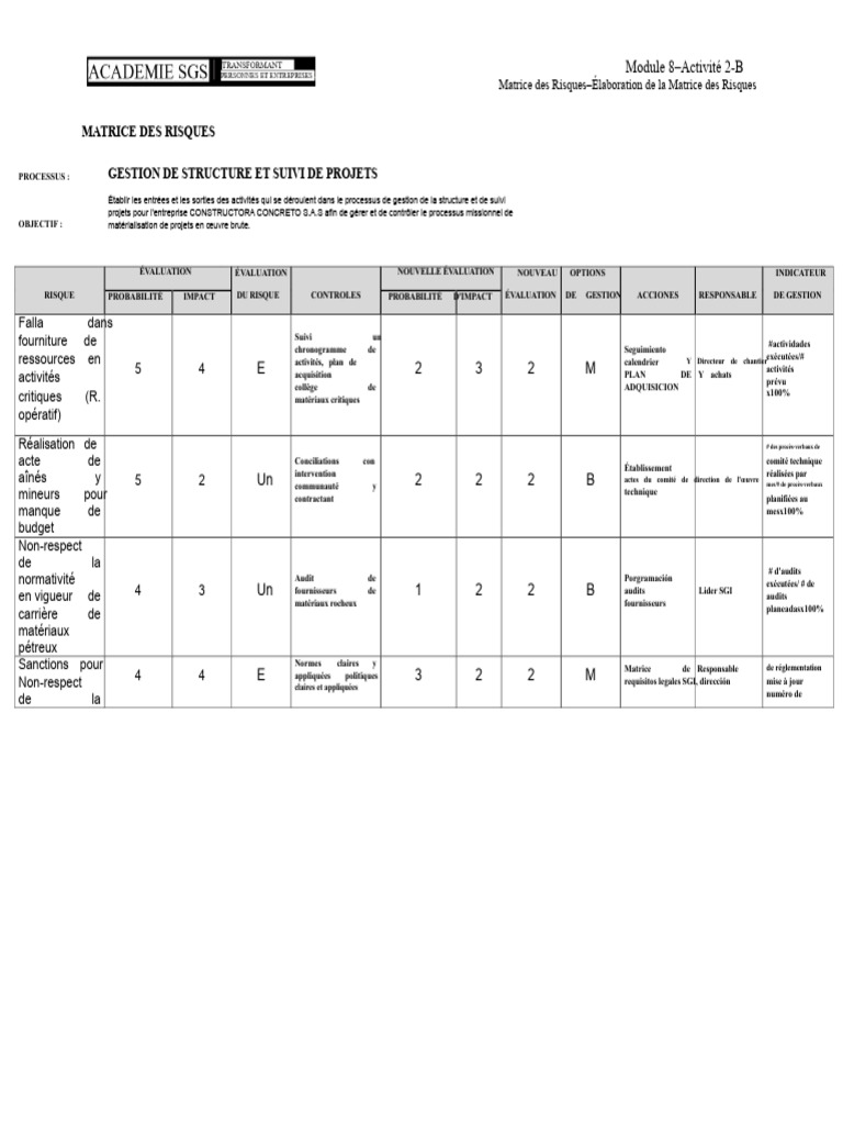 Élaboration de la Matrice des Risques | PDF | Risque | Audit
