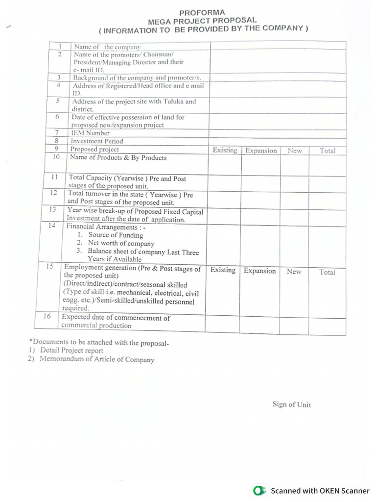 Proforma For Mega Project | PDF