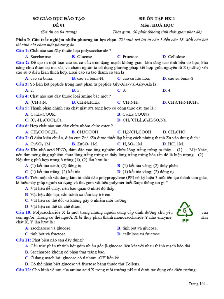 De On Tap Hk1 de 01 | PDF
