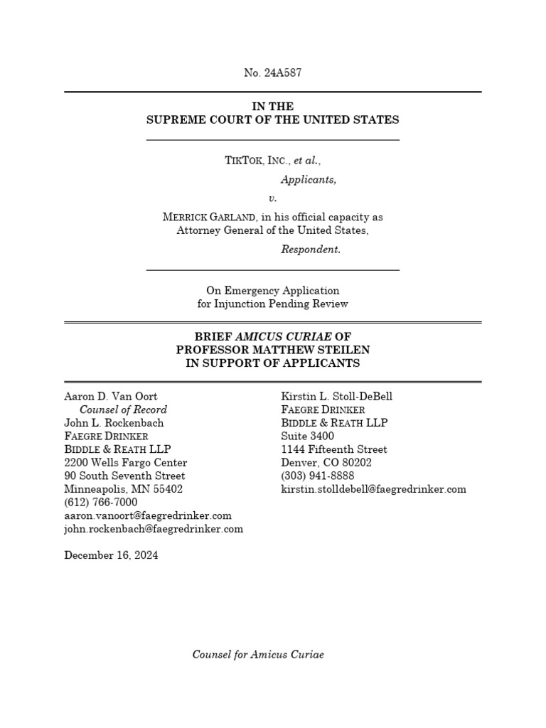 Steilen Amicus Brief | PDF | United States Congress | American Government