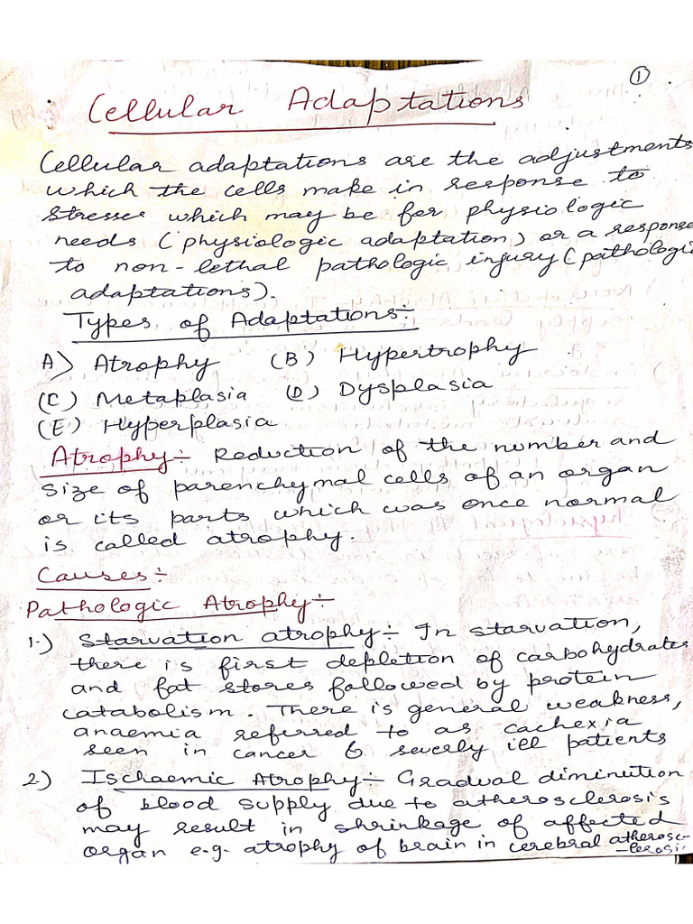 Cellular Adaptations | PDF