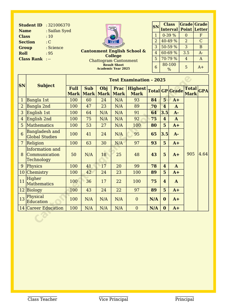 Class 10 Result Sheet 2025 - Saifan Syed | PDF | Educational Stages ...
