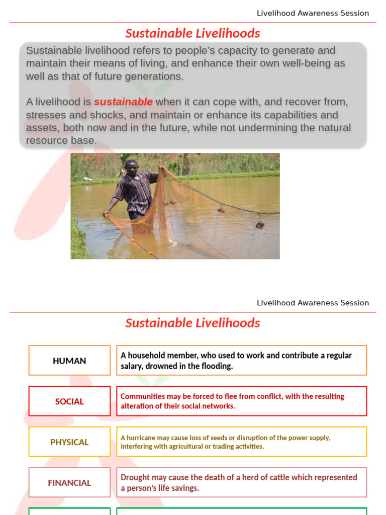 Understanding Sustainable Livelihoods | PDF | Vulnerability | Natural ...